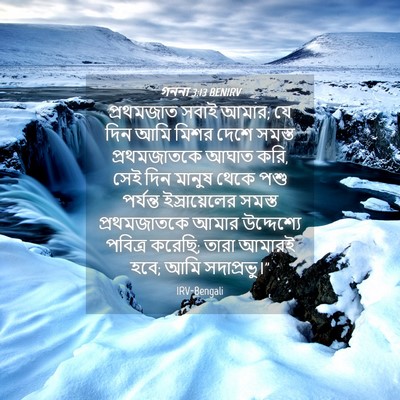 Picture 04 - গননা 3:13 BENIRV - প্রথমজাত সবাই - Bible Verse Picture