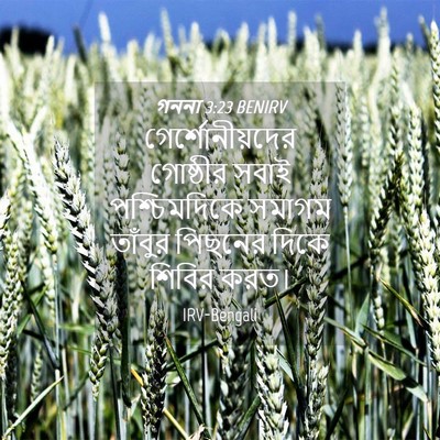 Picture 04 - গননা 3:23 BENIRV - গের্শোনীয়দের - Bible Verse Picture