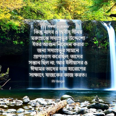Picture 04 - গননা 3:4 BENIRV - কিন্তু নাদব ও - Bible Verse Picture