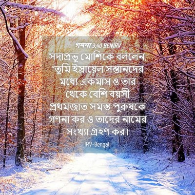 Picture 04 - গননা 3:40 BENIRV - সদাপ্রভু মোশিকে - Bible Verse Picture