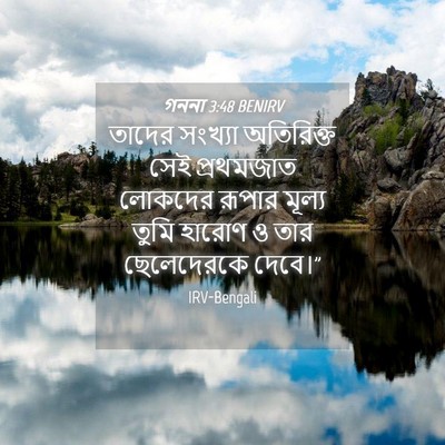 Picture 04 - গননা 3:48 BENIRV - তাদের সংখ্যা - Bible Verse Picture