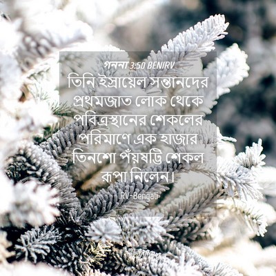 Picture 04 - গননা 3:50 BENIRV - তিনি ইস্রায়েল - Bible Verse Picture