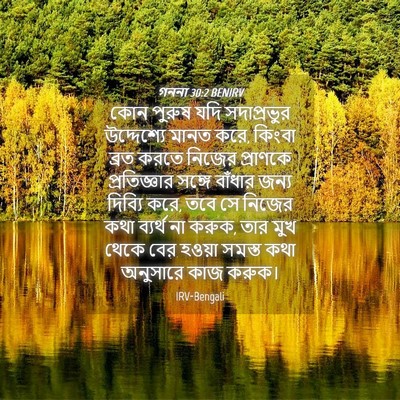 Picture 04 - গননা 30:2 BENIRV - কোন পুরুষ যদি - Bible Verse Picture