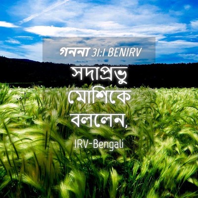 Picture 04 - গননা 31:1 BENIRV - সদাপ্রভু মোশিকে - Bible Verse Picture
