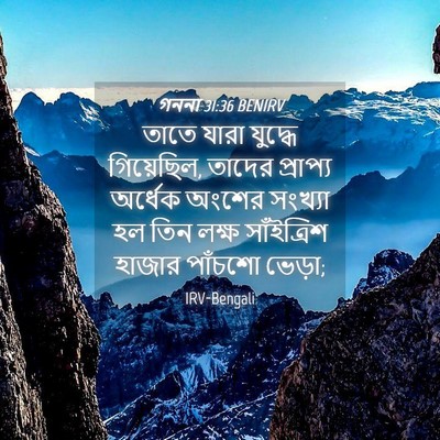 Picture 04 - গননা 31:36 BENIRV - তাতে যারা যুদ্ধে - Bible Verse Picture