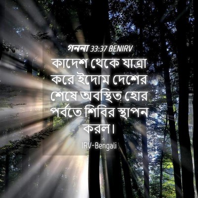 Picture 04 - গননা 33:37 BENIRV - কাদেশ থেকে যাত্রা - Bible Verse Picture