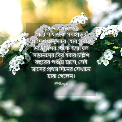 Picture 04 - গননা 33:38 BENIRV - হারোণ যাজক - Bible Verse Picture