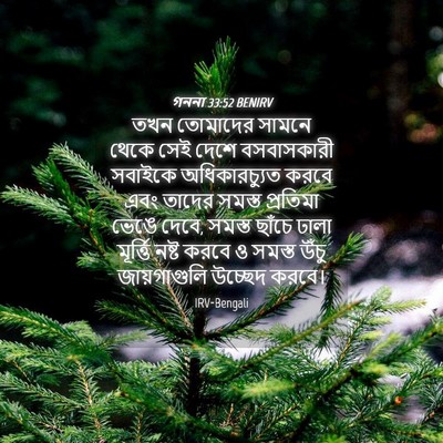 Picture 04 - গননা 33:52 BENIRV - তখন তোমাদের সামনে - Bible Verse Picture