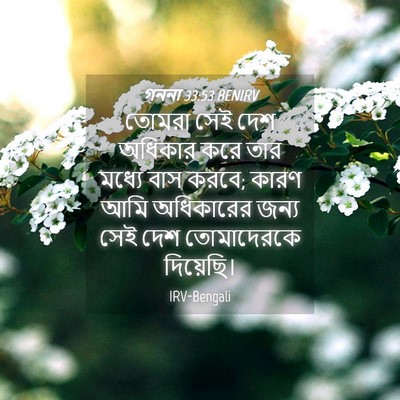 Picture 04 - গননা 33:53 BENIRV - তোমরা সেই দেশ - Bible Verse Picture