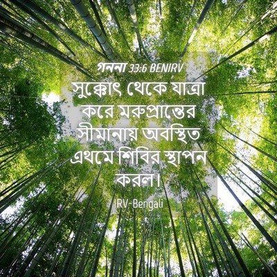 Picture 04 - গননা 33:6 BENIRV - সুক্কোৎ থেকে - Bible Verse Picture