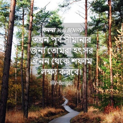 Picture 04 - গননা 34:10 BENIRV - তখন পূর্ব সীমানার - Bible Verse Picture