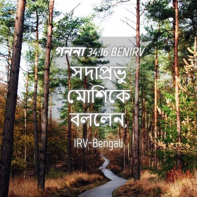 Picture 04 - গননা 34:16 BENIRV - সদাপ্রভু মোশিকে - Bible Verse Picture
