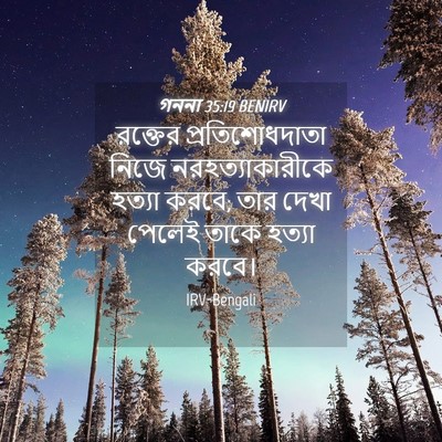 Picture 04 - গননা 35:19 BENIRV - রক্তের - Bible Verse Picture