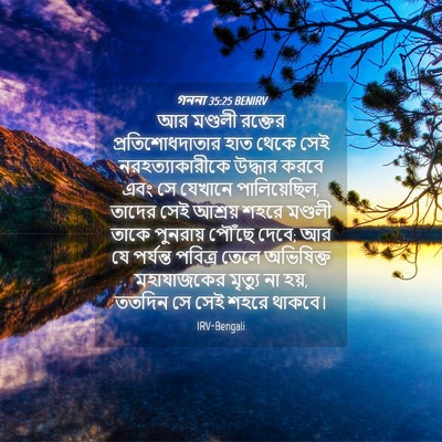 Picture 04 - গননা 35:25 BENIRV - আর মণ্ডলী রক্তের - Bible Verse Picture