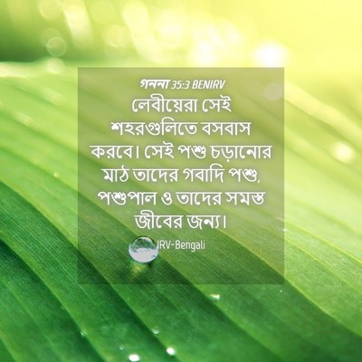 Picture 04 - গননা 35:3 BENIRV - লেবীয়েরা সেই - Bible Verse Picture