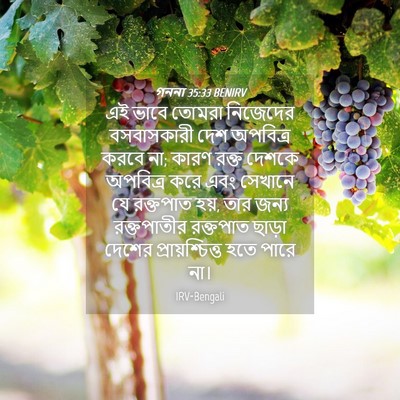 Picture 04 - গননা 35:33 BENIRV - এই ভাবে তোমরা - Bible Verse Picture
