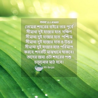 Picture 04 - গননা 35:5 BENIRV - তোমরা শহরের বাইরে - Bible Verse Picture