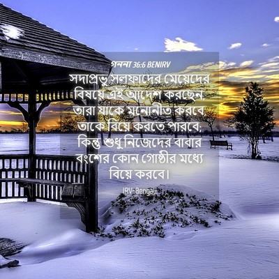 Picture 04 - গননা 36:6 BENIRV - সদাপ্রভু সলফাদের - Bible Verse Picture