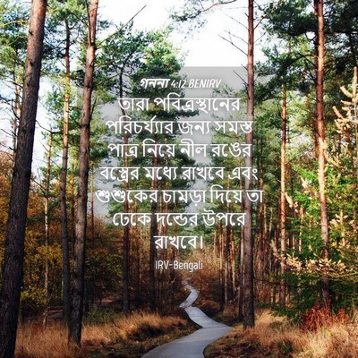 Picture 04 - গননা 4:12 BENIRV - তারা - Bible Verse Picture