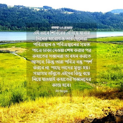 Picture 04 - গননা 4:15 BENIRV - এই ভাবে শিবিরের - Bible Verse Picture