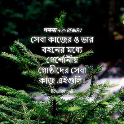 Picture 04 - গননা 4:24 BENIRV - সেবা কাজের ও ভার - Bible Verse Picture