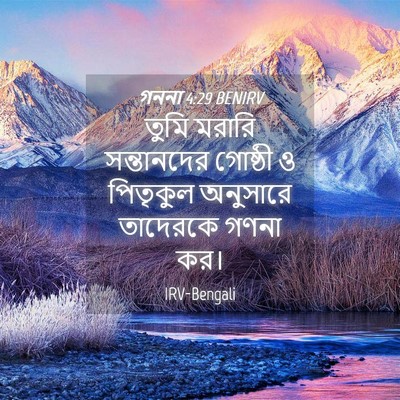 Picture 04 - গননা 4:29 BENIRV - তুমি মরারি - Bible Verse Picture