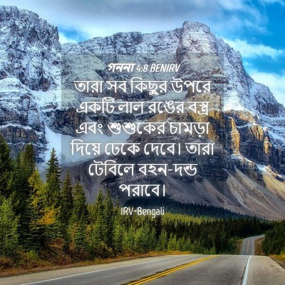 Picture 04 - গননা 4:8 BENIRV - তারা সব কিছুর উপরে - Bible Verse Picture