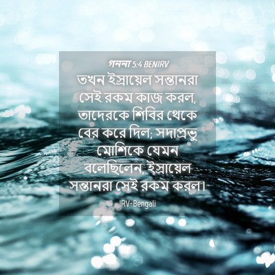 Picture 04 - গননা 5:4 BENIRV - তখন ইস্রায়েল - Bible Verse Picture
