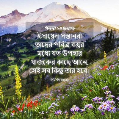 Picture 04 - গননা 5:9 BENIRV - ইস্রায়েল - Bible Verse Picture