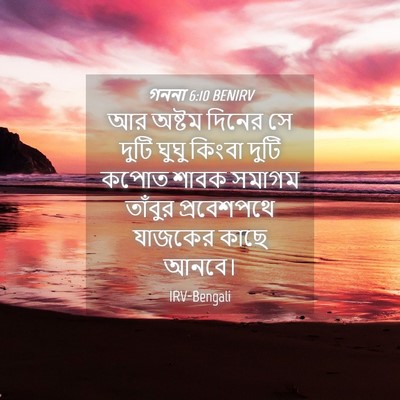 Picture 04 - গননা 6:10 BENIRV - আর অষ্টম দিনের সে - Bible Verse Picture