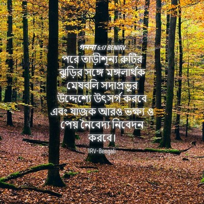 Picture 04 - গননা 6:17 BENIRV - পরে তাড়ীশূন্য - Bible Verse Picture