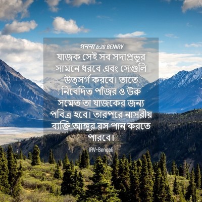 Picture 04 - গননা 6:20 BENIRV - যাজক সেই সব - Bible Verse Picture
