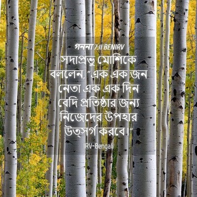 Picture 04 - গননা 7:11 BENIRV - সদাপ্রভু মোশিকে - Bible Verse Picture