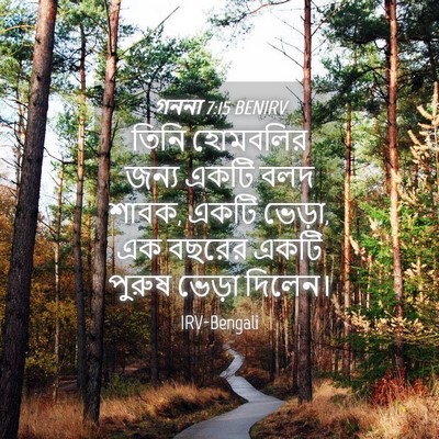 Picture 04 - গননা 7:15 BENIRV - তিনি হোমবলির জন্য - Bible Verse Picture