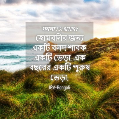 Picture 04 - গননা 7:21 BENIRV - হোমবলির জন্য একটি - Bible Verse Picture