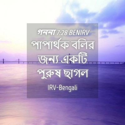 Picture 04 - গননা 7:28 BENIRV - পাপার্থক বলির - Bible Verse Picture