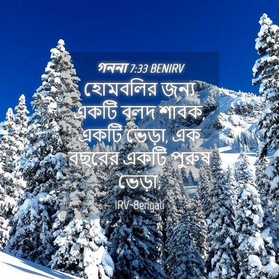 Picture 04 - গননা 7:33 BENIRV - হোমবলির জন্য একটি - Bible Verse Picture