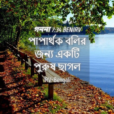 Picture 04 - গননা 7:34 BENIRV - পাপার্থক বলির - Bible Verse Picture
