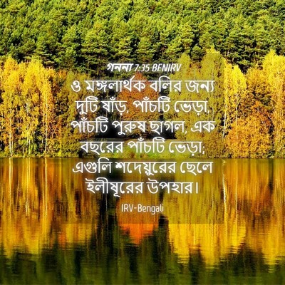Picture 04 - গননা 7:35 BENIRV - ও মঙ্গলার্থক বলির - Bible Verse Picture