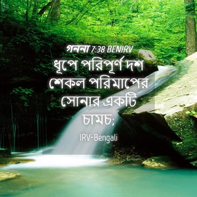 Picture 04 - গননা 7:38 BENIRV - ধূপে পরিপূর্ণ দশ - Bible Verse Picture