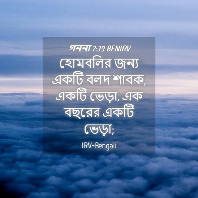 Picture 04 - গননা 7:39 BENIRV - হোমবলির জন্য একটি - Bible Verse Picture
