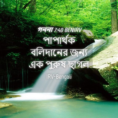 Picture 04 - গননা 7:40 BENIRV - পাপার্থক বলিদানের - Bible Verse Picture