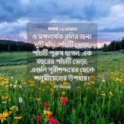 Picture 04 - গননা 7:41 BENIRV - ও মঙ্গলার্থক বলির - Bible Verse Picture