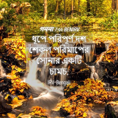 Picture 04 - গননা 7:44 BENIRV - ধূপে পরিপূর্ণ দশ - Bible Verse Picture