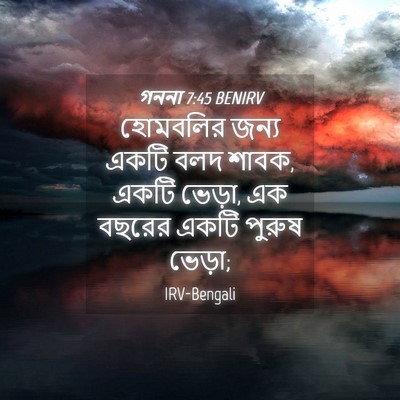 Picture 04 - গননা 7:45 BENIRV - হোমবলির জন্য একটি - Bible Verse Picture