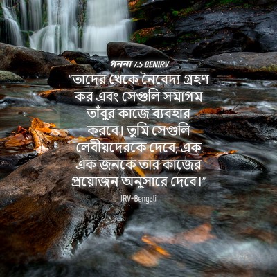 Picture 04 - গননা 7:5 BENIRV - “তাদের থেকে - Bible Verse Picture