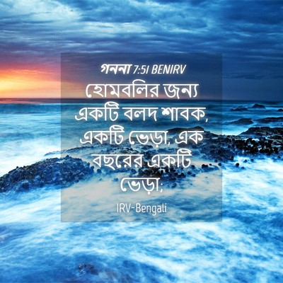 Picture 04 - গননা 7:51 BENIRV - হোমবলির জন্য একটি - Bible Verse Picture