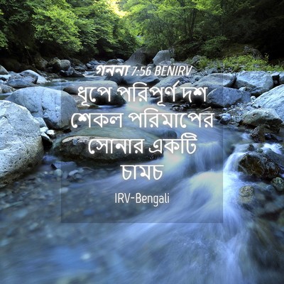 Picture 04 - গননা 7:56 BENIRV - ধূপে পরিপূর্ণ দশ - Bible Verse Picture