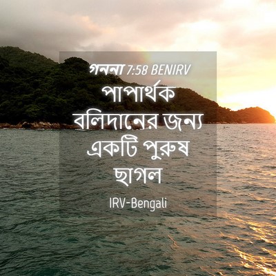 Picture 04 - গননা 7:58 BENIRV - পাপার্থক বলিদানের - Bible Verse Picture