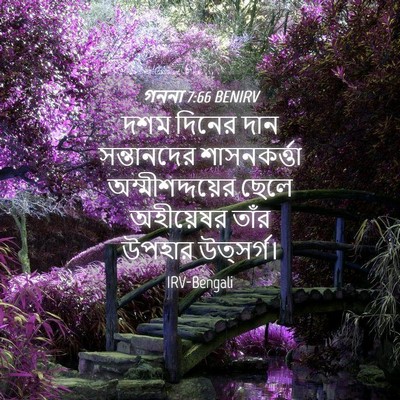 Picture 04 - গননা 7:66 BENIRV - দশম দিনের দান - Bible Verse Picture